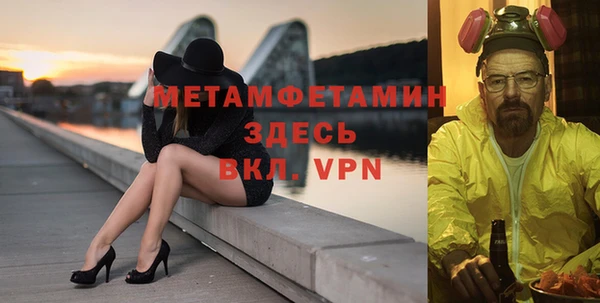 прущие грибы Елизово