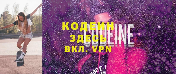 индика Ельня