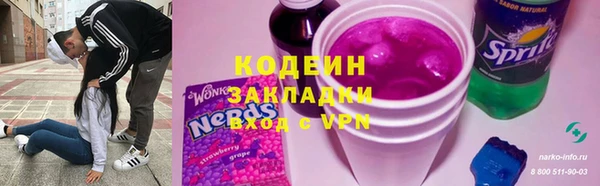 хмурый Алексин