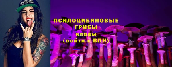 героин Алзамай