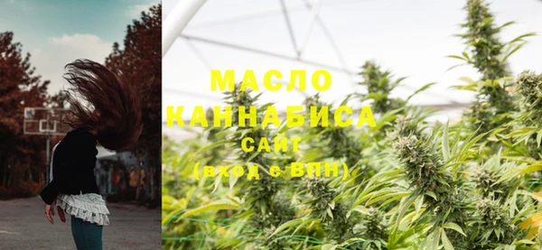 дживик Абаза