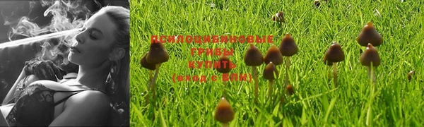 не бодяженный Заводоуковск