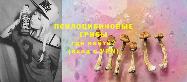 дживик Абаза