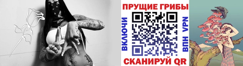 blacksprut ССЫЛКА  продажа наркотиков  Томилино  Галлюциногенные грибы мицелий 